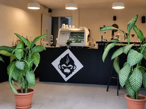 Instalaciones de Monkeys Coffee Shop